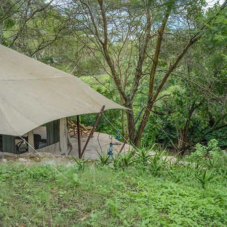 Dolly Farm & River Camp, Luxury Tents Usa River ภายนอก รูปภาพ