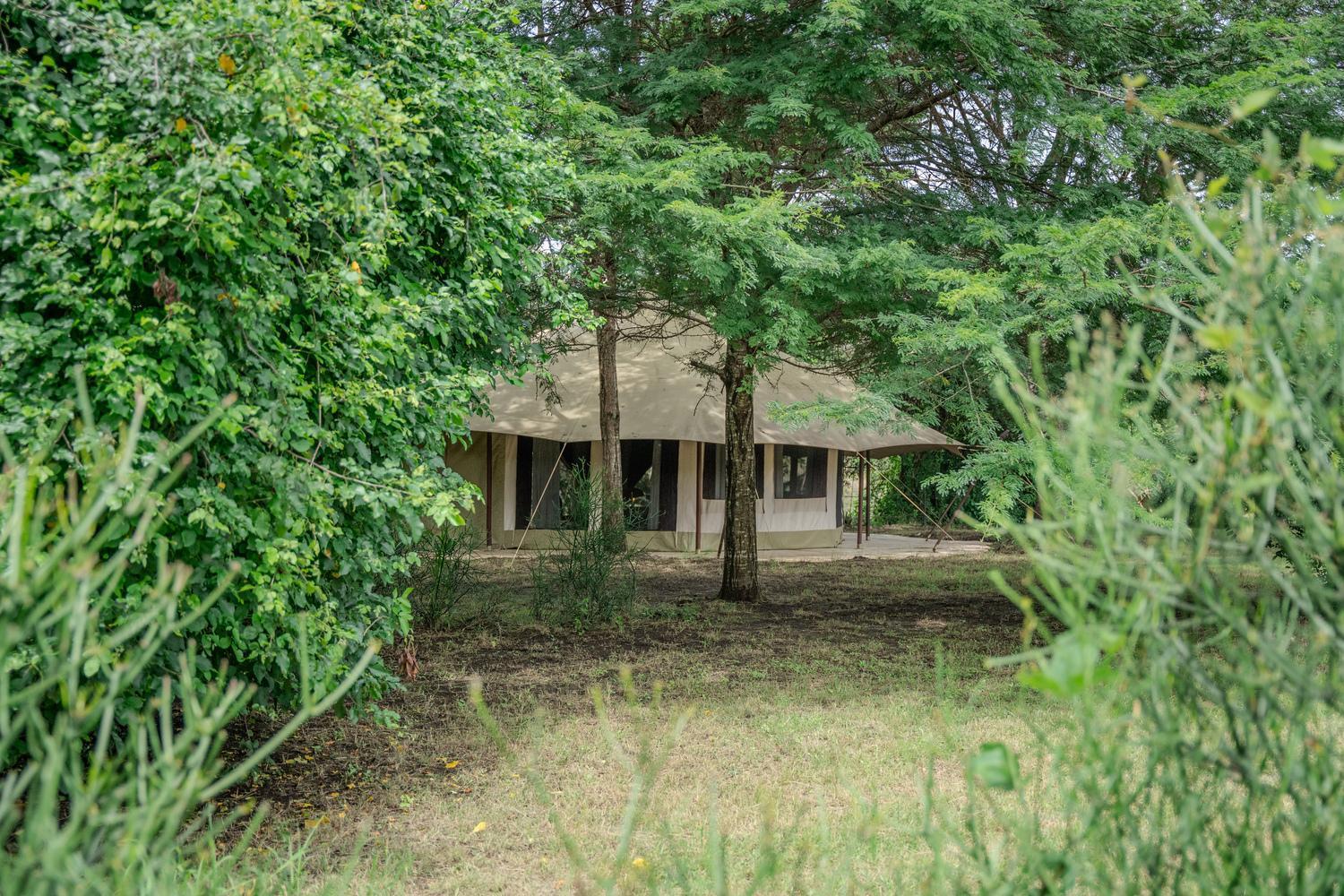 Dolly Farm & River Camp, Luxury Tents Usa River ภายนอก รูปภาพ
