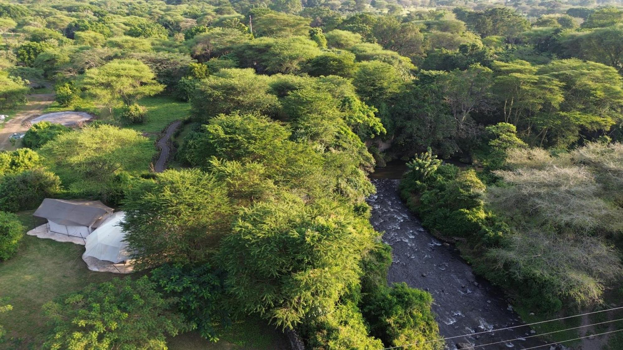 Dolly Farm & River Camp, Luxury Tents Usa River ภายนอก รูปภาพ